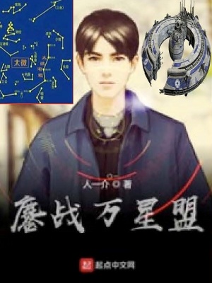 ��ս������