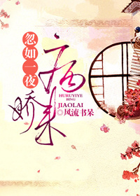 ����һҹ������