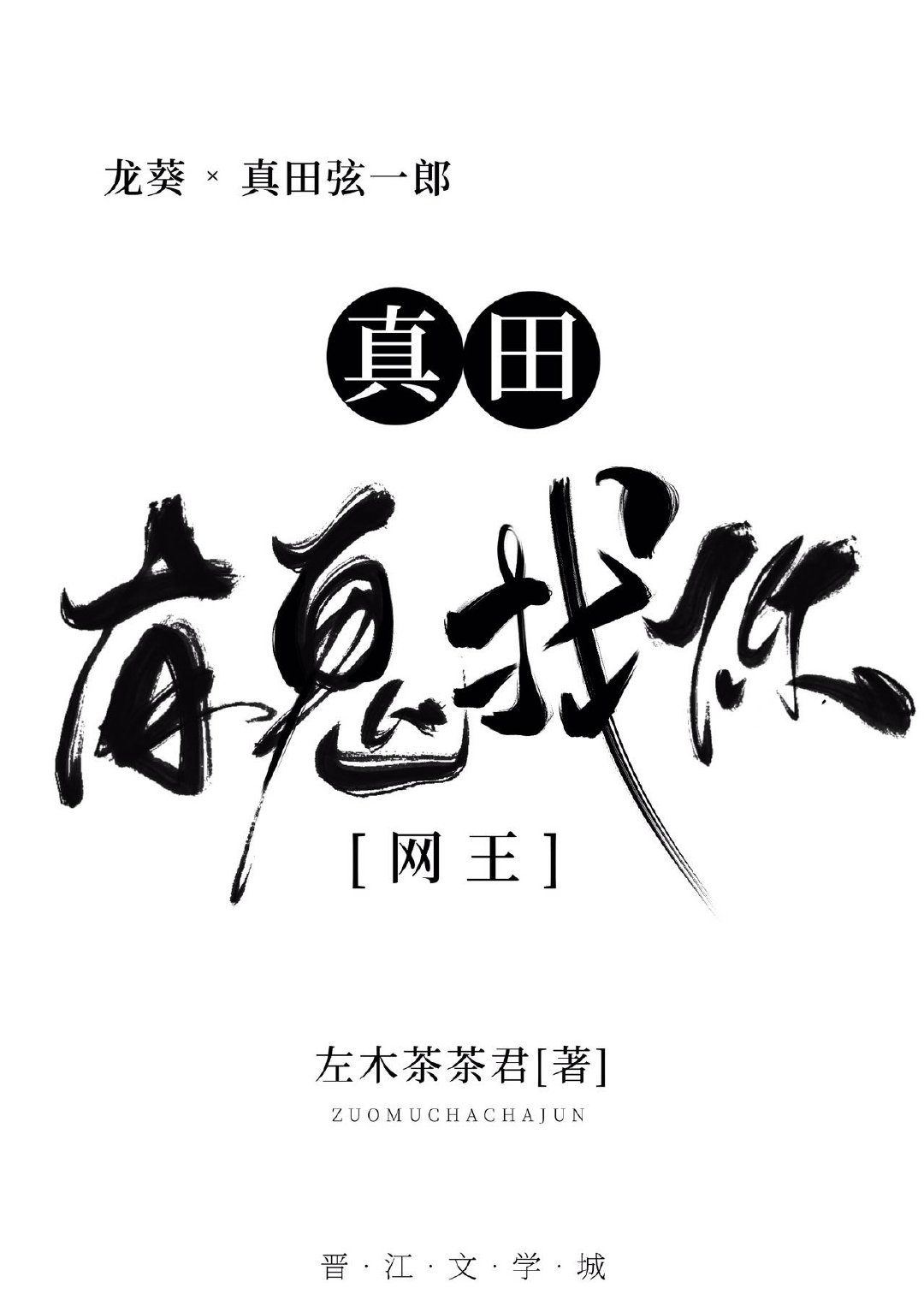 网王之真田,有鬼找你