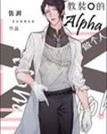 教装O的Alpha做个人